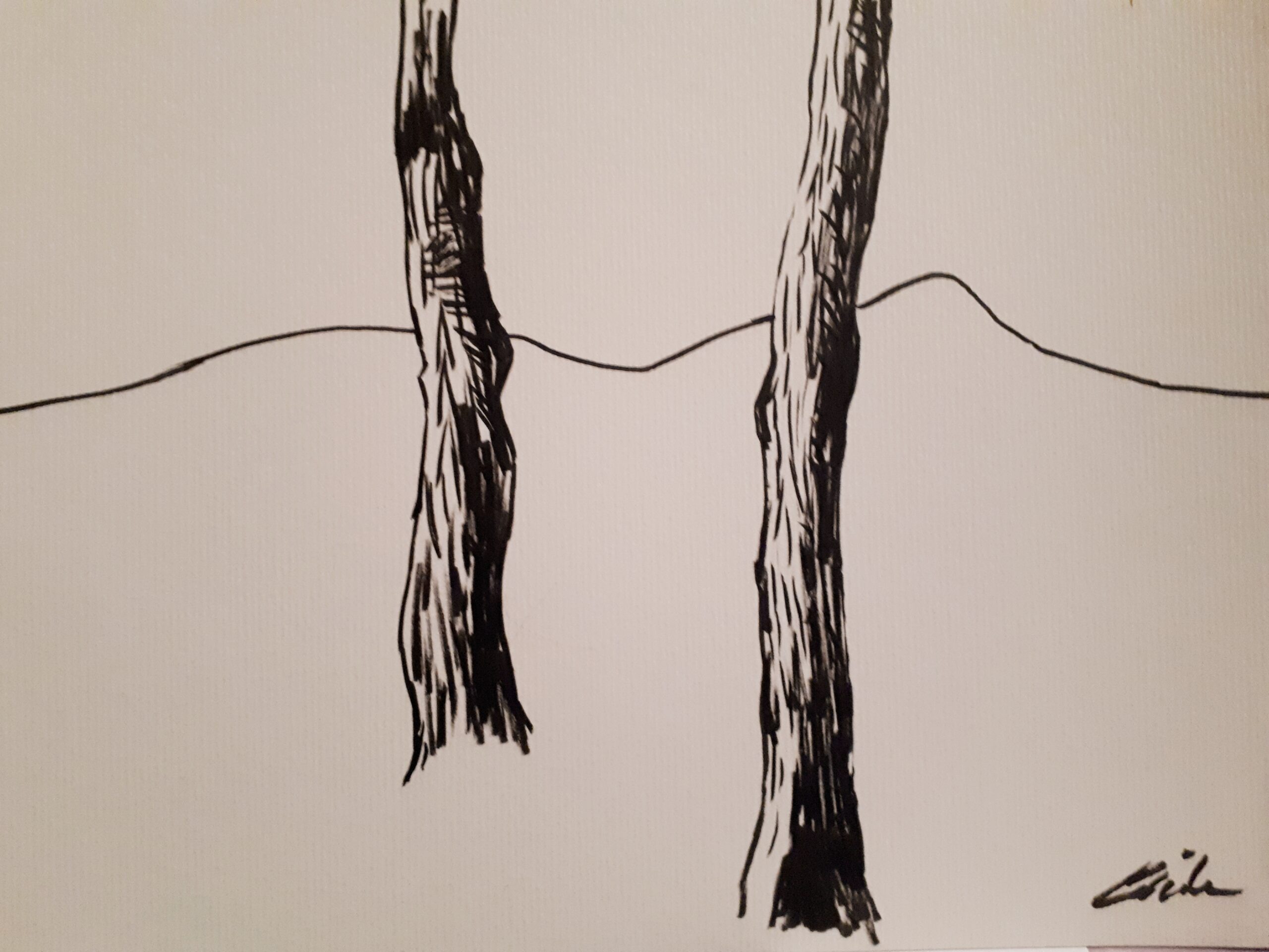 20181221_230014